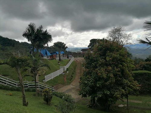 Imagen 12 de 30 de Casa Campestre Km 23 Via Al Mar Cali-dagua
