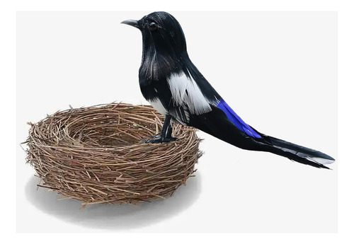 Taxidermia Realista Urraca