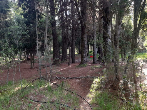 Imagen 13 de 21 de Excelente Loteo, Lago Puelo Lote N° 4