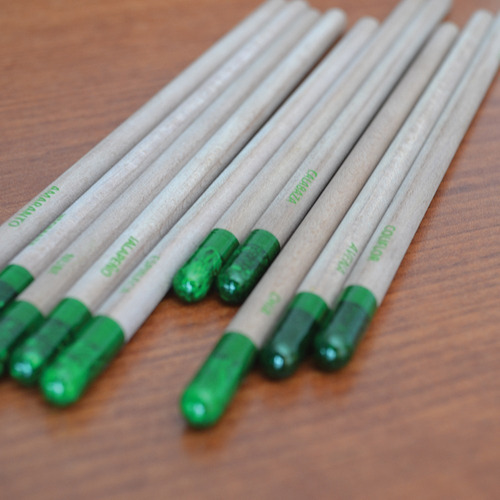 Imagen 9 de 10 de Lápiz Con Semillas Ecológico 150 Pz Sin Impresión Y Envío