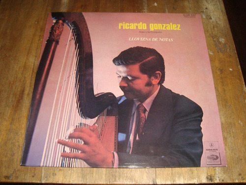 Ricardo Gonzalez Llovizna De Notas Vinilo Lp   / Kktus