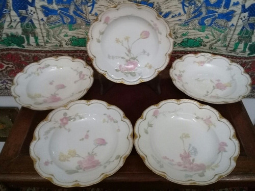 Juego De 5 Platos Hondos De Porcelana Limoges Haviland Myot