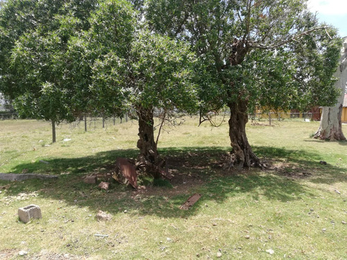 Chacra Con Casa Sobre Ruta Ib Piriápolis (ref. 3789)