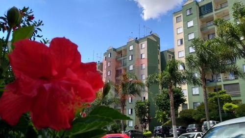 Imagem 13 de 15 de 13039 - Apartamento 2 Dorms, Jardim Veloso - Osasco/sp - 13039