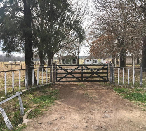 Terreno Campo  En Venta En Zárate, G.b.a. Zona Norte, Argentina