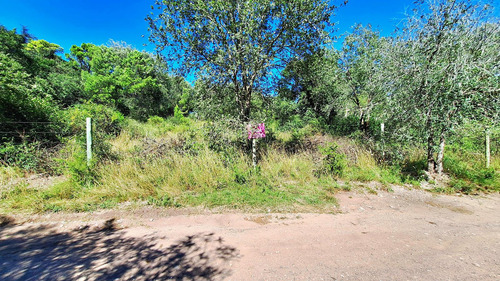 Villa Giardino, Lotes Sobre Bvard La Cañada