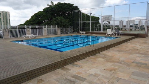Apartamento Padrão Com 1 Quarto No Evidence - 241770-v
