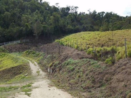 Imagem 13 de 20 de Haras À Venda, 77000 M² Por R$ 1.710.000,00 - Castelo Branco - Sorocaba/sp - Ha0001 - 67639931
