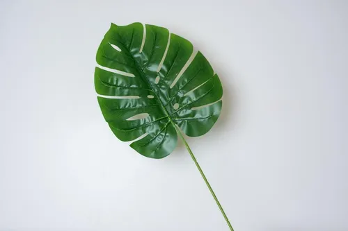 Hoja Artificial Monstera 70 Cm