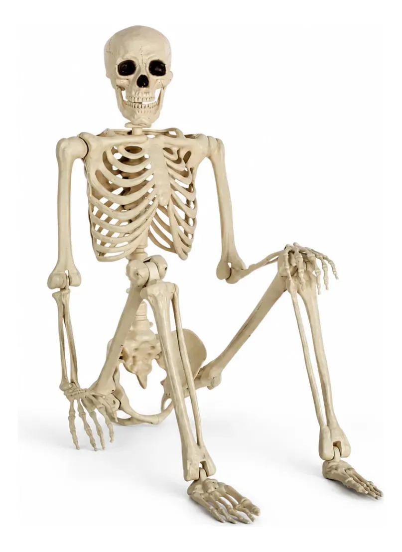 Esqueleto Caveira Decoração Halloween Enfeite Ossos Articulado Festa SL BINÃO