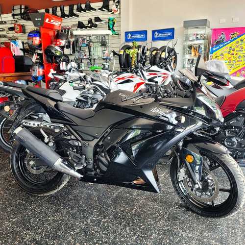 Imagen 12 de 17 de Kawasaki Ninja 250 2011 (no Dominar No Tnt 300) - Bonetto