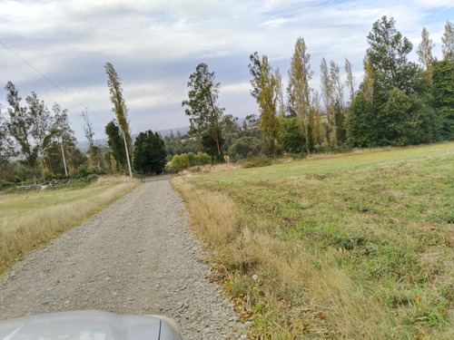 Parcela En Venta 5000mtrs, Sexta Faja, Pitrufquén