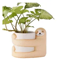 Comprar Maceta Decorativa Perezoso Modelo Gran Abrazo 8.5cm Diametro Color Beige Gran abrazo Perezoso