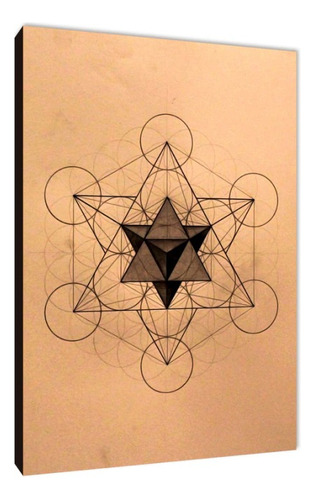 Cuadros Poster Cubo De Metatron S 15x20 (dme (6)