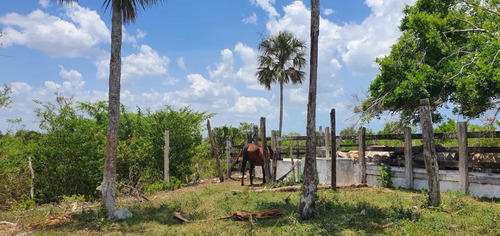 Venta De Rancho Emmanuel En Yucatan