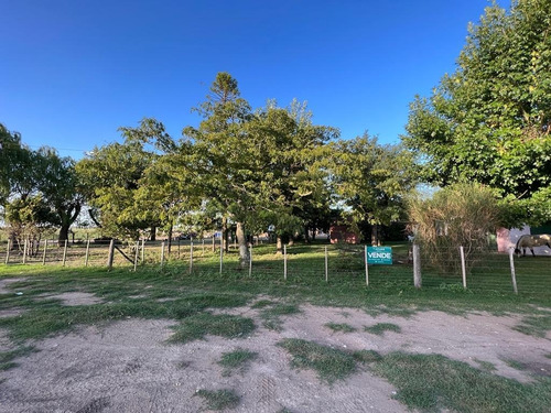 Imagen 2 de 6 de En Venta Fracción De Chacra Sobre Asfalto