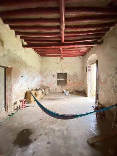 Rancho Ganadero En Tizimín, Yucatán