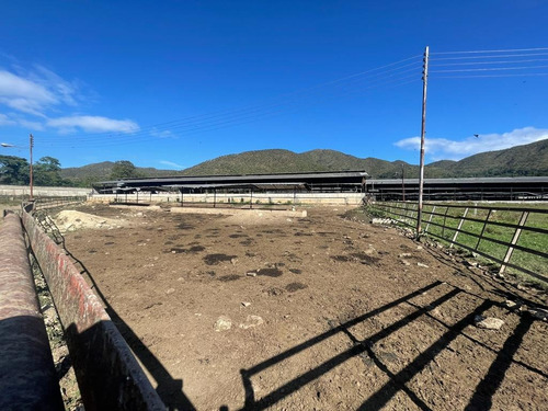 Imagen 11 de 12 de Finca Para La Cria De Cerdos En La Victoria En Venta