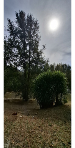 Preciosa Casa En Parcela Alto Pinar Villarrica Con Recepción