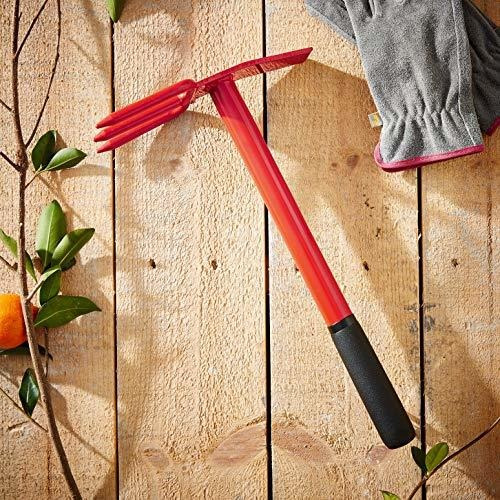 C Na Ht 69300 Cultivar Mattock