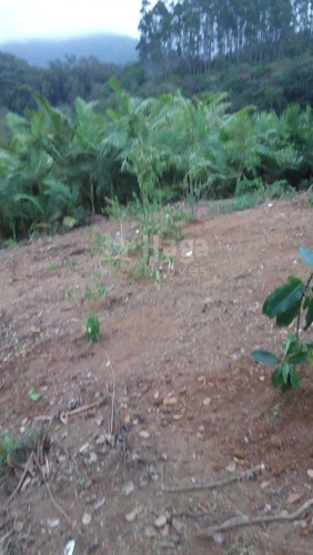 Imagem 18 de 30 de Chácara Rural A Venda Em Ilhota/sc - 1684c