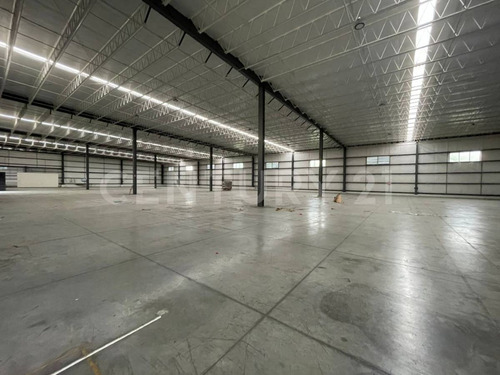 Bodega Renta En Apodaca, Nuevo Leon Sobre Carretera Laredo