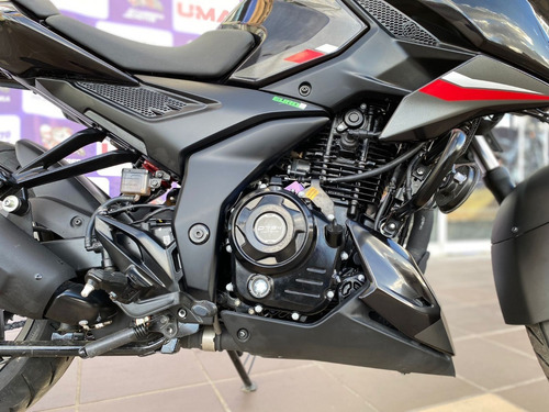 Imagen 6 de 25 de Pulsar N250