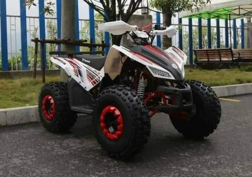 Imagen 14 de 20 de Cuatrimoto Coyote 125cc Automatica 0 Klm 2023