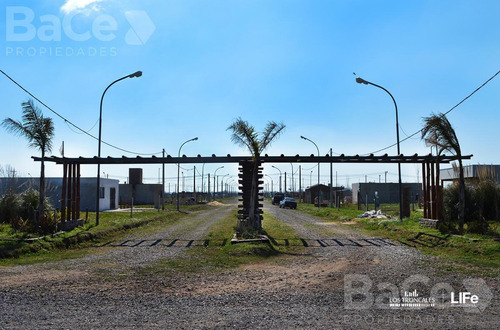 Oportunidad Terreno En Venta Barrio Los Troncales