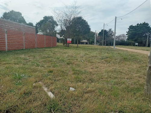 Imagen 2 de 3 de Terreno - Barrio El Cazador