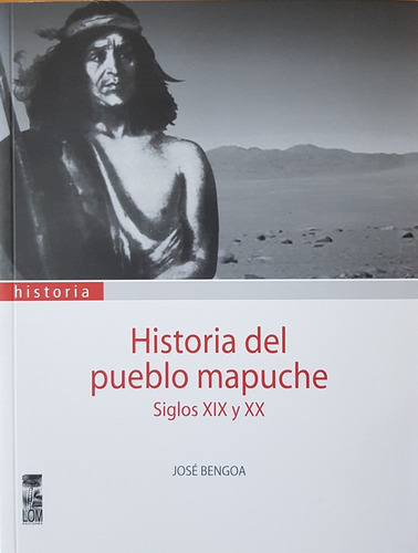 Historia Del Pueblo Mapuche Siglos Xix Y Xx - Bengoa Jose
