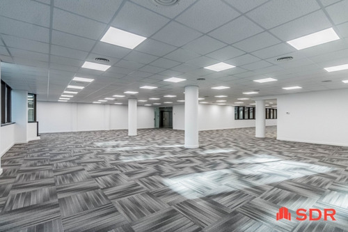 Imagen 5 de 24 de Oficina En Alquiler 620m. A Nuevo En Av Del Libertador 767, Vicente López