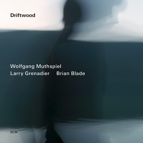 Cd:driftwood