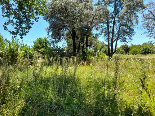 Imagen 4 de 14 de Lote En Venta En Pontevedra
