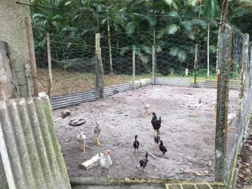 Imagem 6 de 14 de Chácara No Bairro Bopiranga, Em Itanhaém, 3 Quartos, 5773 Wa