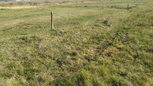 Imagen 2 de 11 de Campo Agroecológico 30 Has En Venta En El Peligro, Calle 420