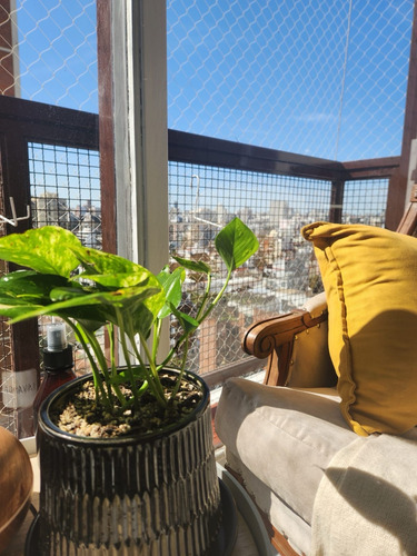 Departamento Dos Ambientes En Alquiler En Belgrano R