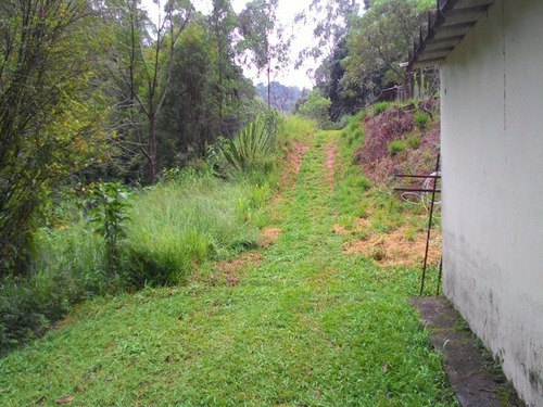 Imagem 4 de 30 de Sitio - St00006 - 4310429