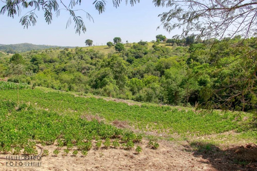 Imagem 24 de 30 de Chácara Com 2 Dormitórios À Venda, 30 M² Por R$ 650.000 - Porangaba - Porangaba/sp - Ch0009