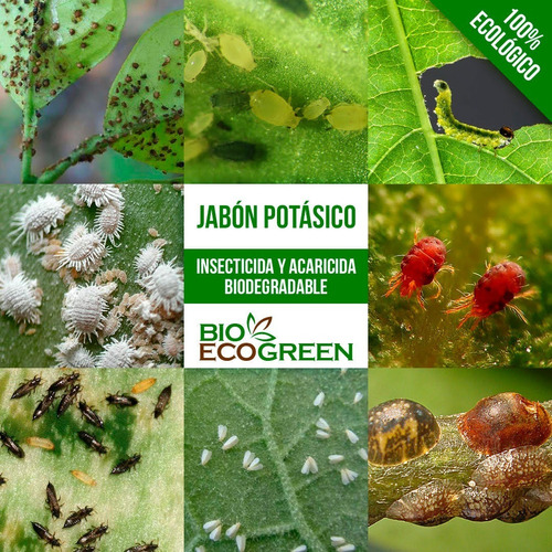 Imagen 2 de 5 de Jabón Potásico, Control De Plagas Ecológico (1 Lt)
