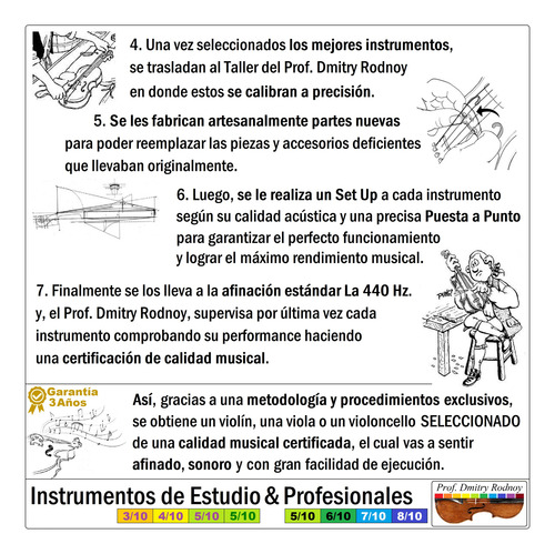 Viola - Reparación Afinación - Luthier - Prof. Dmitry Rodnoy (Usado)