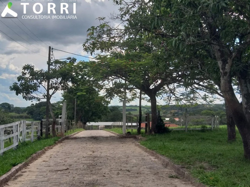 Belo Haras À Venda Em Porto Feliz - Ha00013 - 69329721