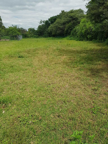 Imagen 6 de 7 de Terreno Venta Villa Allende