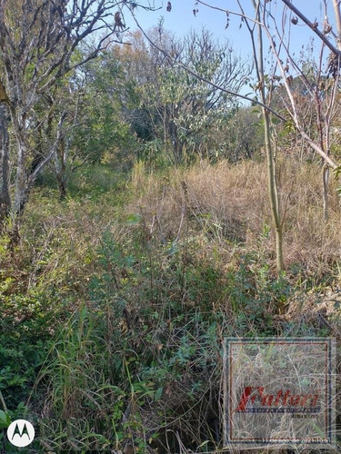 Imagem 2 de 2 de Terreno Para Venda Em Itatiba, Summertime Barreiro - Te0142_2-1233968