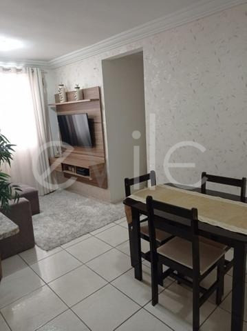 Imagem 3 de 18 de Apartamento À Venda Em Jardim Nova Europa - Ap008777