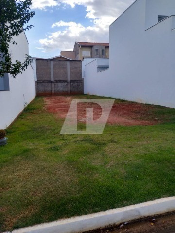 Imagem 4 de 14 de Terreno Em Condomínio - Te01270 - 70091456