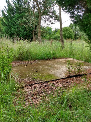 Areco - Lote Quintas -excelente 20 X 53 - U$s 93000