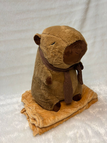 Peluche Capibara Carpincho Con Manta Varios Modelos 40cm Capibara Con Bufanda