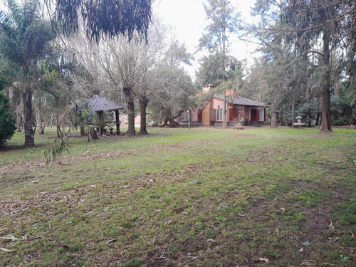 Casa En Venta - 2 Dormitorios 1 Baño - 5.000mts2 - Coronel Brandsen
