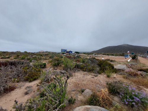 Imagen 6 de 11 de Terreno El Arrayan La Serena, Km 492